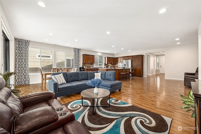 living room with light hardwood / wood-style floors