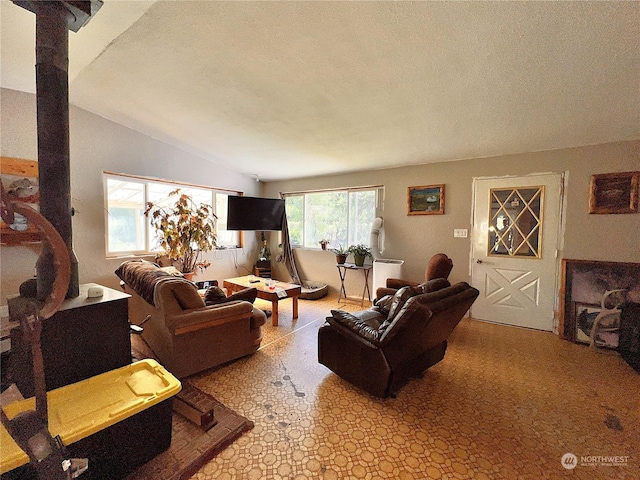 living room with lofted ceiling and a textured ceiling