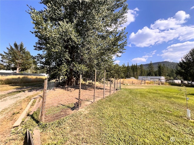 view of yard with a rural view