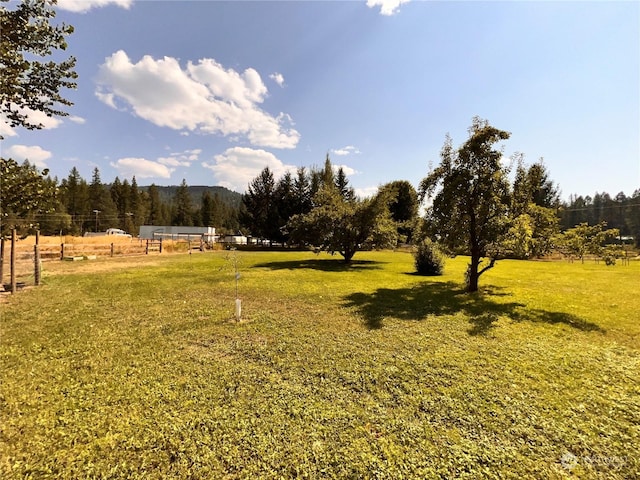 view of yard featuring a rural view