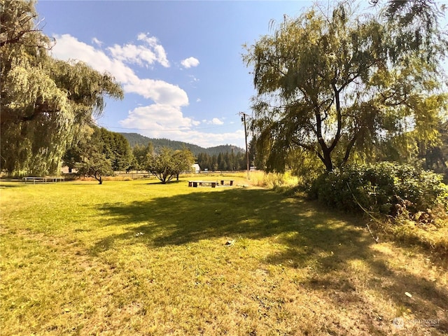 view of home's community with a rural view and a lawn