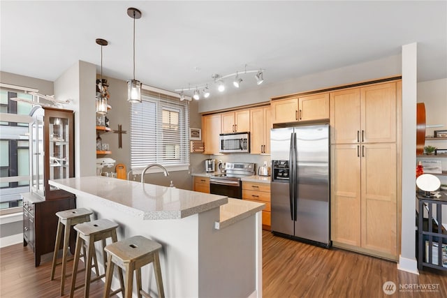 kitchen with light brown cabinetry, hanging light fixtures, stainless steel appliances, and wood-type flooring