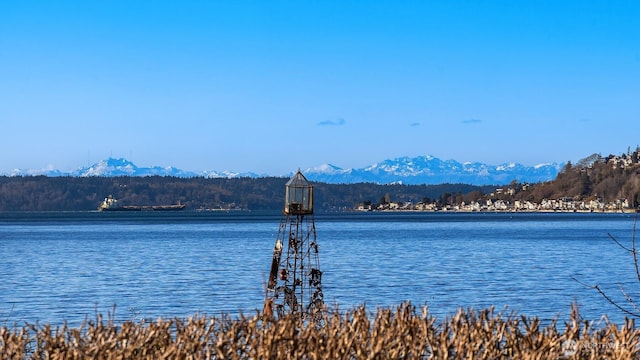 water view with a mountain view