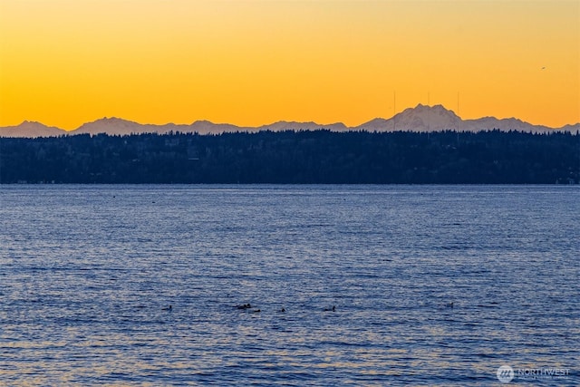 property view of water featuring a mountain view