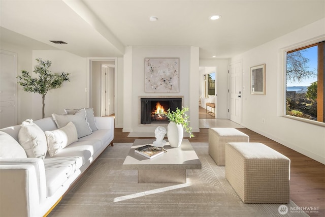 living room featuring hardwood / wood-style flooring