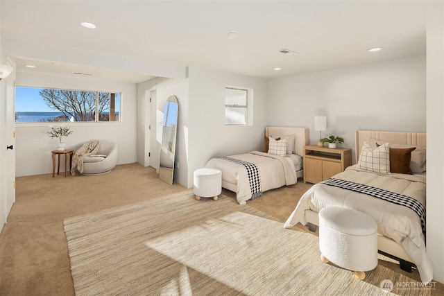 view of carpeted bedroom