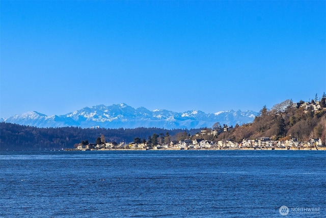 water view featuring a mountain view