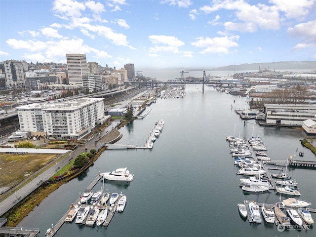 bird's eye view featuring a water view