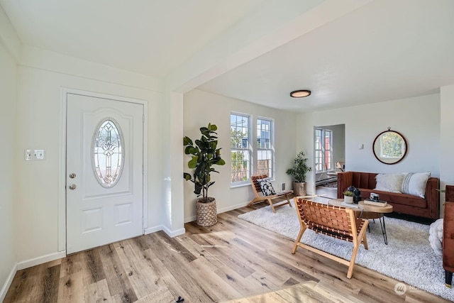 foyer with light hardwood / wood-style flooring