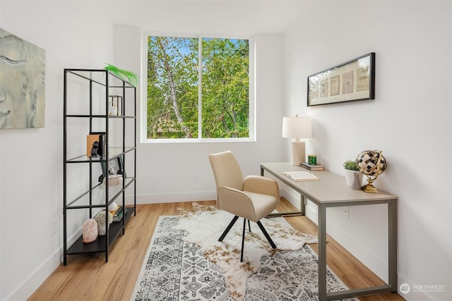 office featuring light wood-type flooring