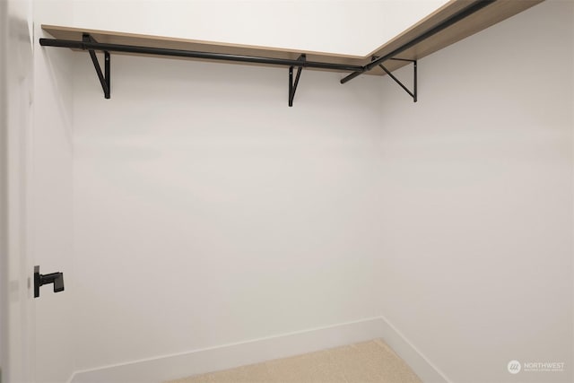 spacious closet with carpet flooring