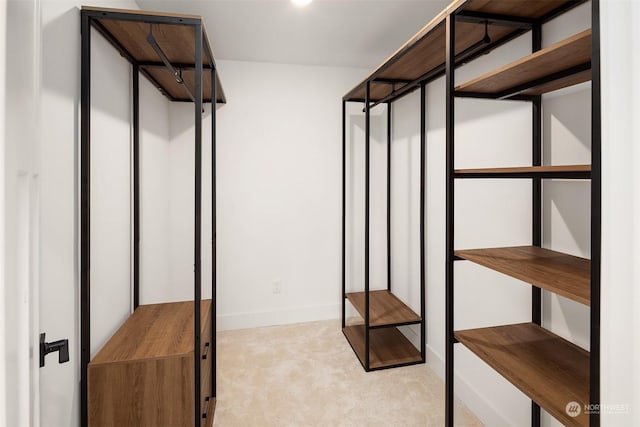 spacious closet featuring light colored carpet