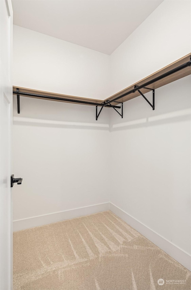 walk in closet with carpet