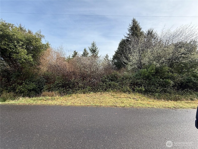 148 N Narwhal Loop NW, Ocean Shores WA, 98569 land for sale