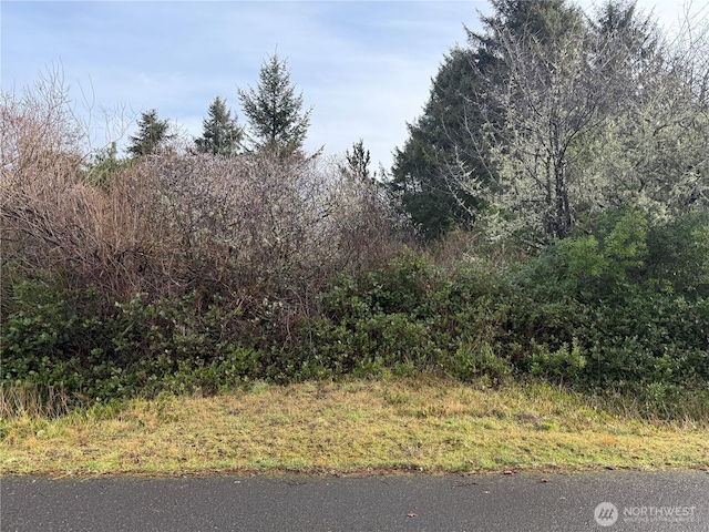 Listing photo 2 for 148 N Narwhal Loop NW, Ocean Shores WA 98569