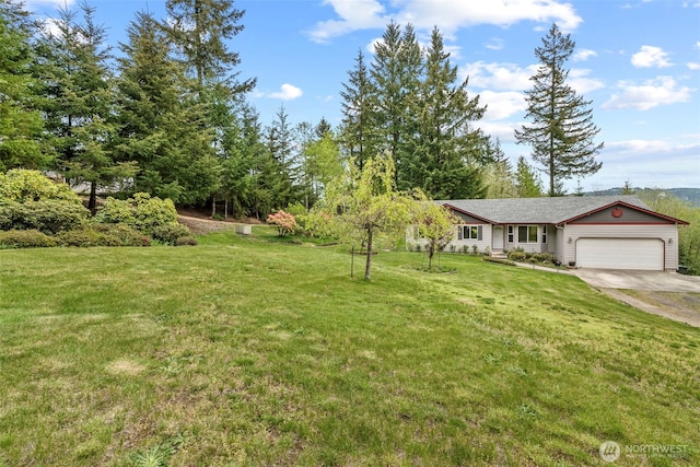 view of yard featuring a garage and driveway