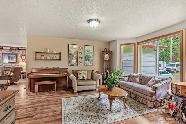 living room featuring a textured ceiling and wood finished floors