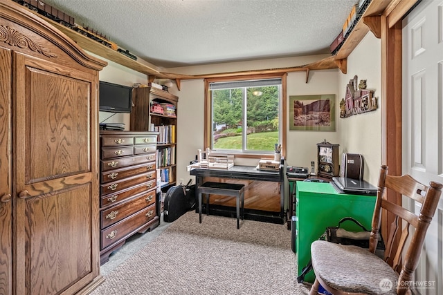 office space with light colored carpet and a textured ceiling