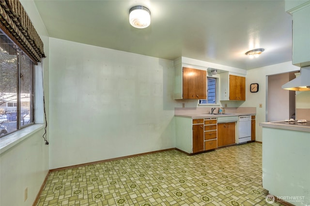 kitchen featuring white dishwasher, sink, cooktop, and a healthy amount of sunlight