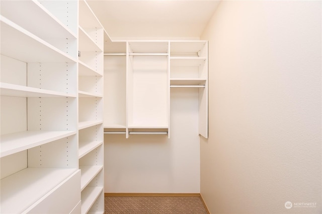 view of walk in closet