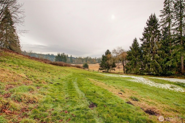 view of yard featuring a rural view