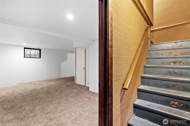 staircase with carpet flooring