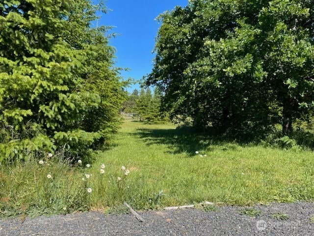 1090 Middle Fork Rd, Onalaska, WA 98570 - photo 37