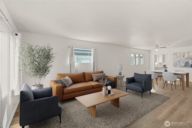 living room featuring light hardwood / wood-style flooring and a wealth of natural light