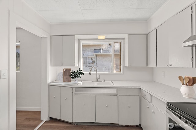 kitchen with hardwood / wood-style flooring, white cabinetry, and sink