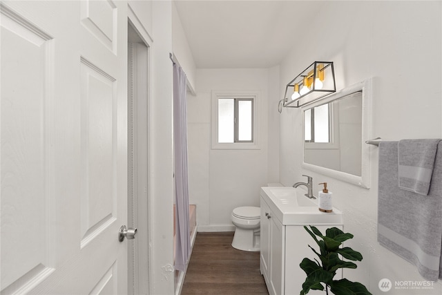 bathroom with vanity, wood-type flooring, and toilet