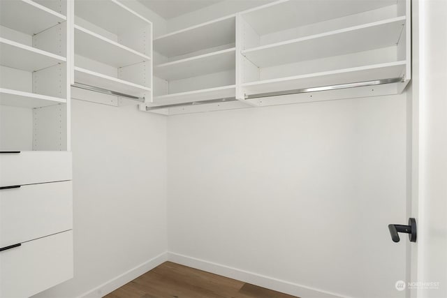 walk in closet with wood-type flooring