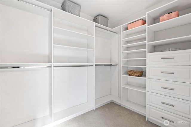 walk in closet with light colored carpet