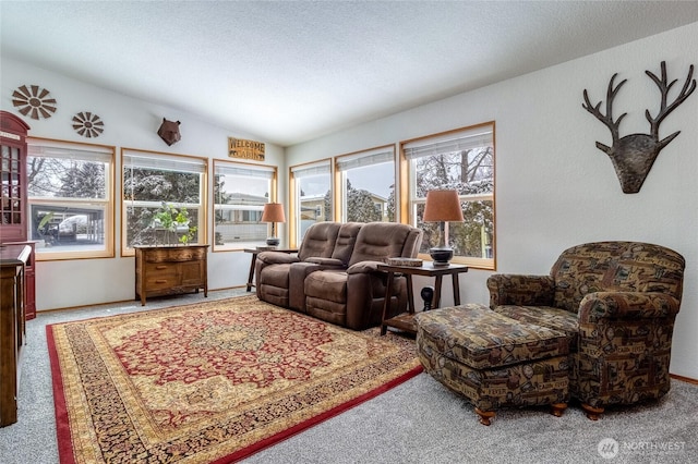 living room with light colored carpet and a textured ceiling