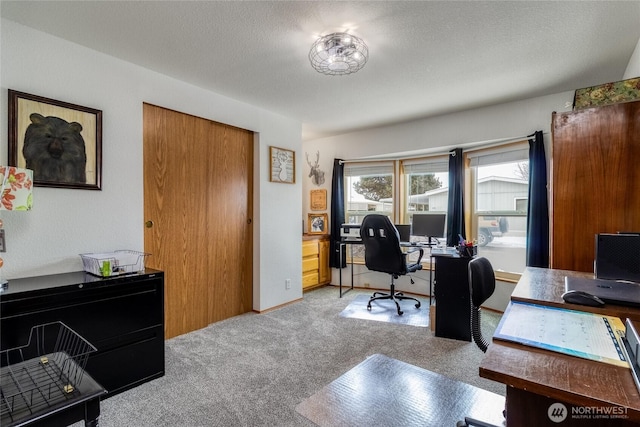 carpeted office featuring a textured ceiling