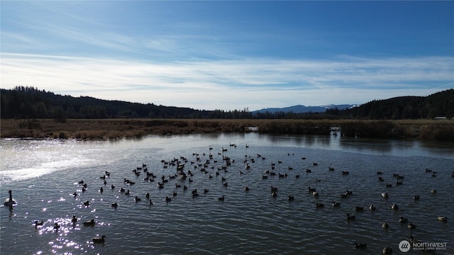 0105.33 Lincoln Creek Rd, Rochester, WA 98579 - photo 4