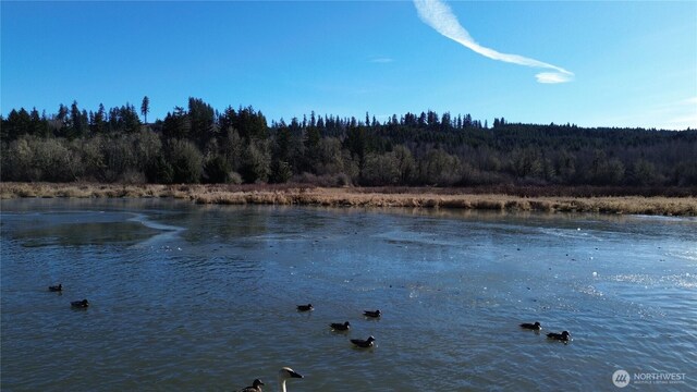 0105.33 Lincoln Creek Rd, Rochester, WA 98579 - photo 5