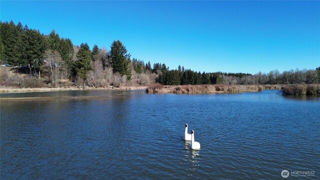 0105.33 Lincoln Creek Rd, Rochester, WA 98579 - photo 6