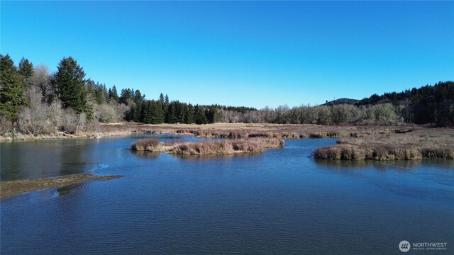 0105.33 Lincoln Creek Rd, Rochester, WA 98579 - photo 7