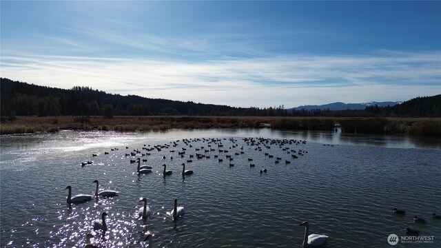 0105.33 Lincoln Creek Rd, Rochester, WA 98579 - photo 8