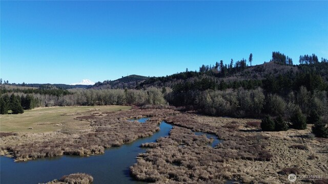 0105.33 Lincoln Creek Rd, Rochester, WA 98579 - photo 10