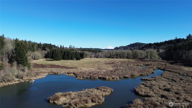 0105.33 Lincoln Creek Rd, Rochester, WA 98579 - photo 12