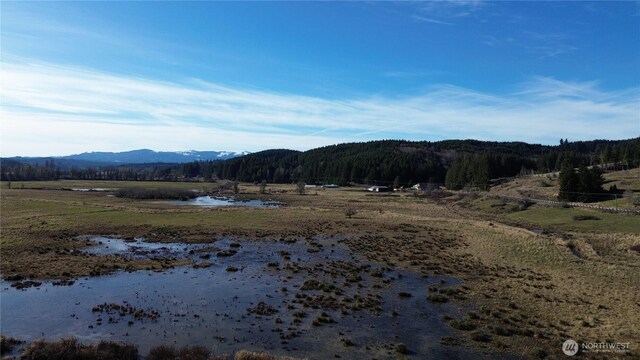 0105.33 Lincoln Creek Rd, Rochester, WA 98579 - photo 14