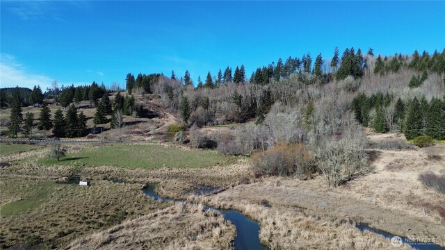 0105.33 Lincoln Creek Rd, Rochester, WA 98579 - photo 15