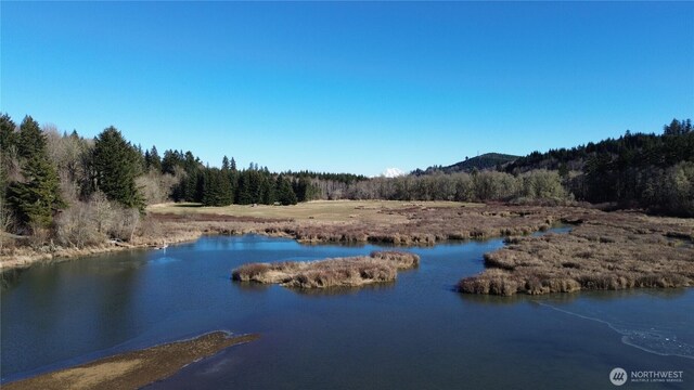 0105.33 Lincoln Creek Rd, Rochester, WA 98579 - photo 16