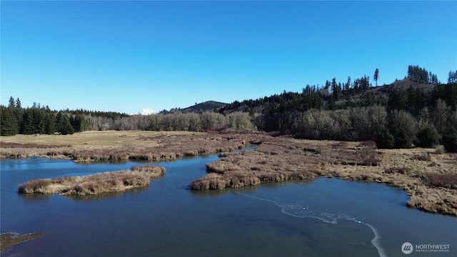 0105.33 Lincoln Creek Rd, Rochester, WA 98579 - photo 17
