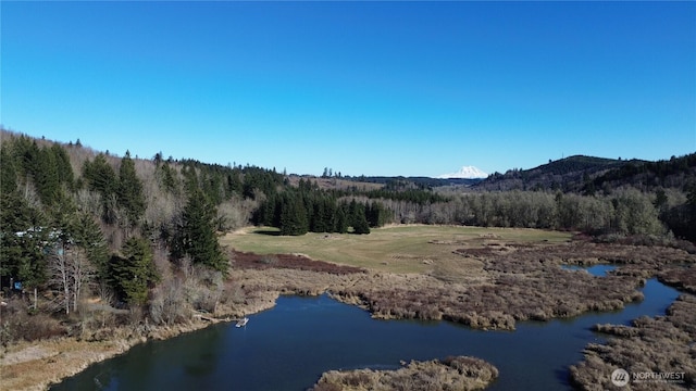 0105.33 Lincoln Creek Rd, Rochester, WA 98579 - photo 18