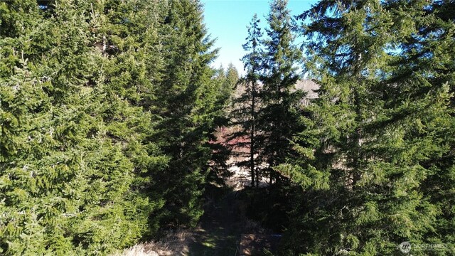 0105.33 Lincoln Creek Rd, Rochester, WA 98579 - photo 20