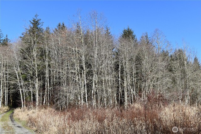 0105.33 Lincoln Creek Rd, Rochester, WA 98579 - photo 22