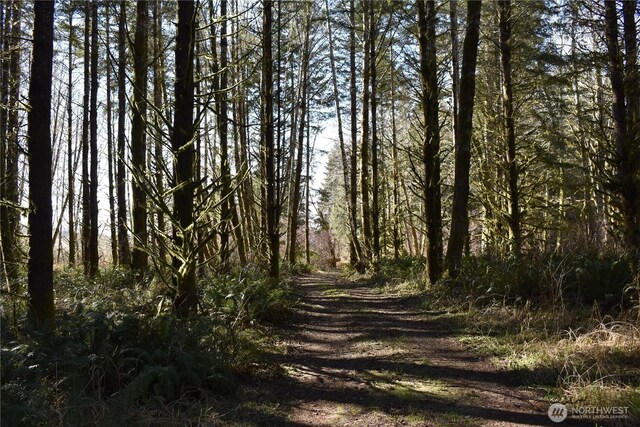0105.33 Lincoln Creek Rd, Rochester, WA 98579 - photo 23