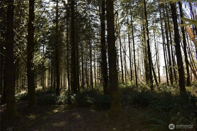 0105.33 Lincoln Creek Rd, Rochester, WA 98579 - photo 24